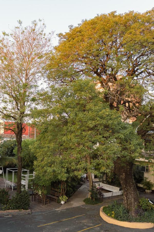 Das Heim Hotel Asuncion Dış mekan fotoğraf