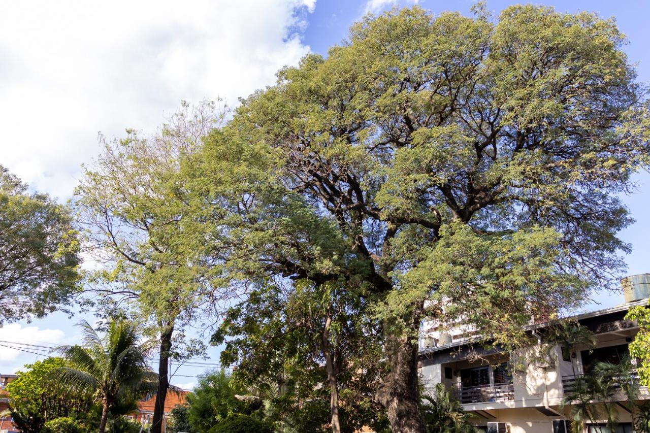 Das Heim Hotel Asuncion Dış mekan fotoğraf